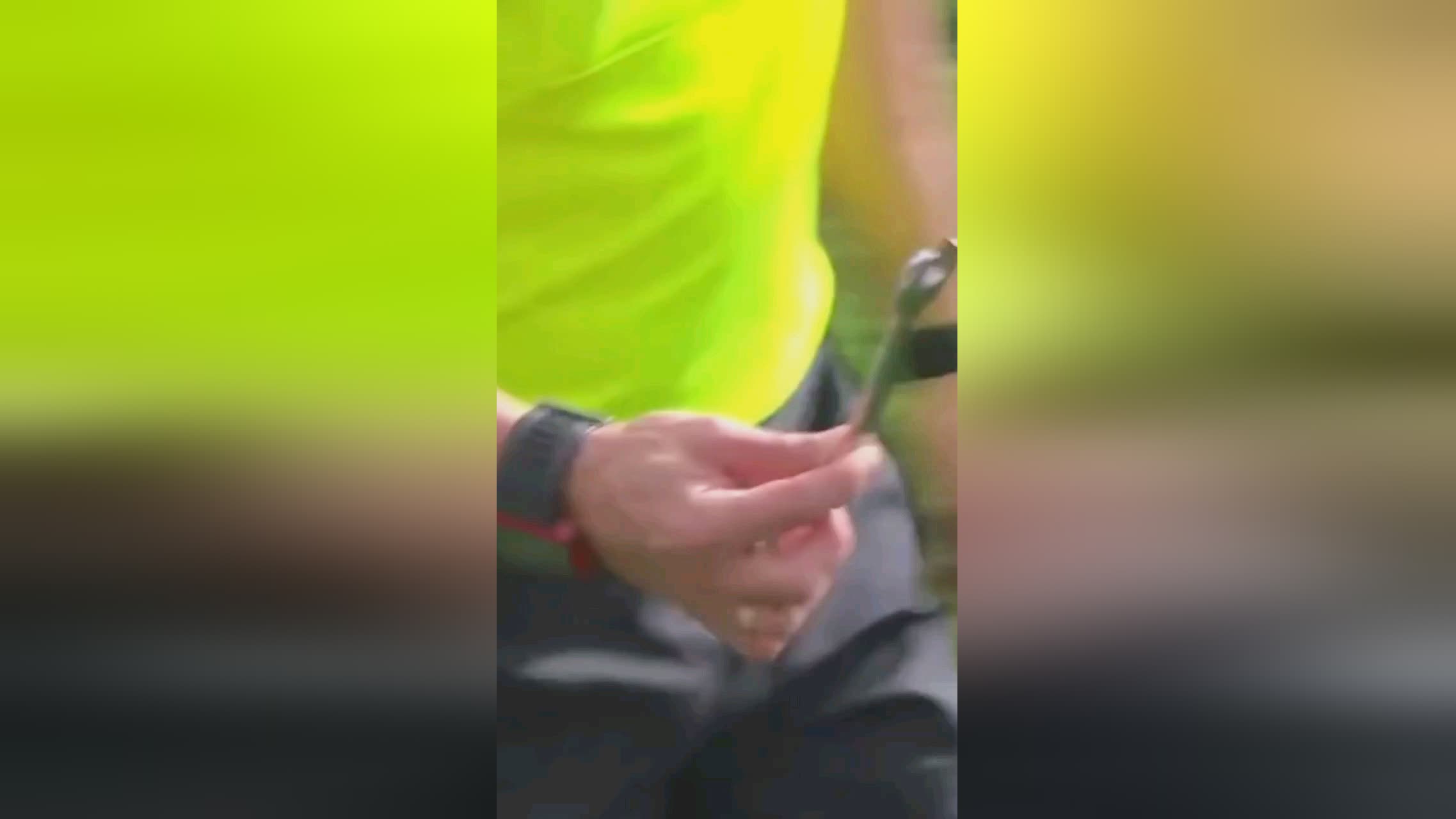 的存在